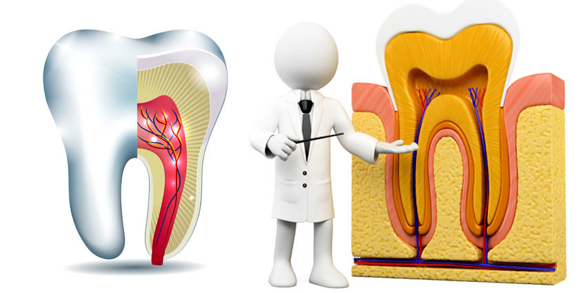root-canal-treatment-in-rt-nagar root-canal-treatment-in-rt-nagar