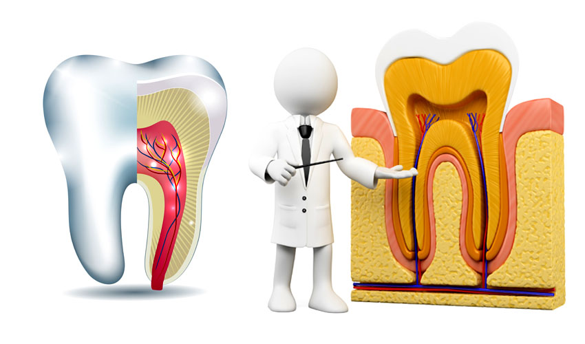 root-canal-treatment-in-rt-nagar